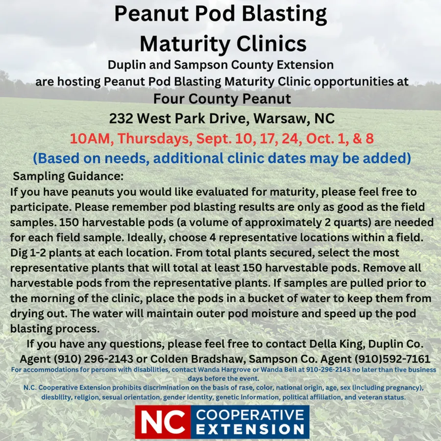 Peanut Pod Blasting Advertisement