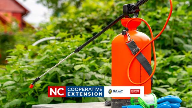 a red pesticide container among plants