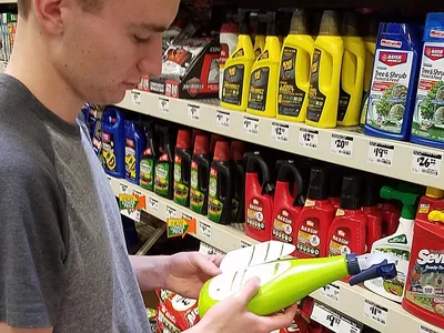 Consumer reading a pesticide label