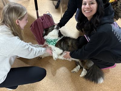 Students rubbing a dog's belly
