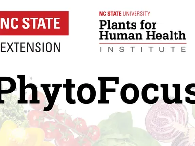 Phytofocus text over vegetables