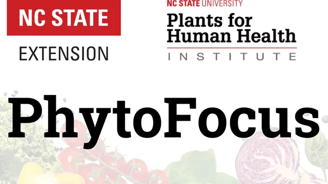 Phytofocus text over vegetables