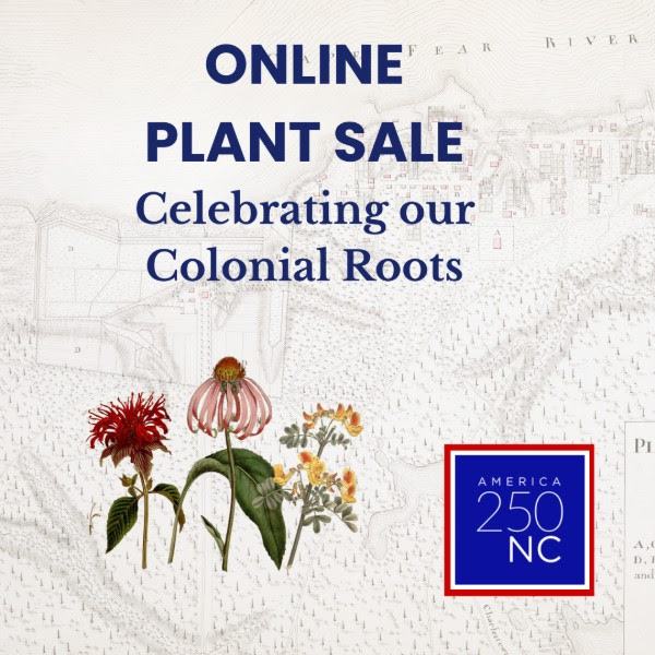Graphic promoting an “Online Plant Sale” with the subtitle “Celebrating our Colonial Roots,” featuring vintage botanical illustrations of flowering plants over a faint historic map background. A blue and red “America 250 NC” logo appears.