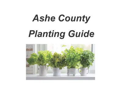 Words "Ashe County Planting Guide" above four potted herbs sitting on a windowsill