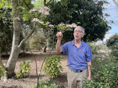 NC State Extension horticulture expert stands beside a flowering shrub in a garden landscape, pointing out spring blooms during a plant demonstration.
