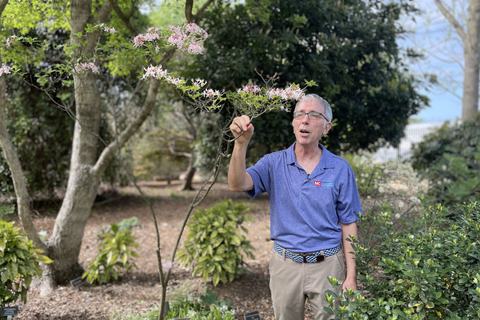 NC State Extension horticulture expert stands beside a flowering shrub in a garden landscape, pointing out spring blooms during a plant demonstration.