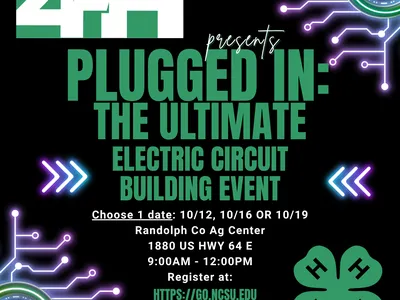 STEM Activity: Using Snap Circuits 
Age: 8-10 Year olds
Choose one day: 10/12, 10/16 OR 10/19
9:00AM - 12:00PM
Randolph County Ag Center
1880 US HWY 64 E
Asheboro, NC 27203