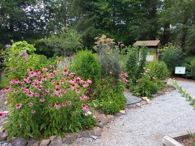 Pollinator Garden at Silvermont