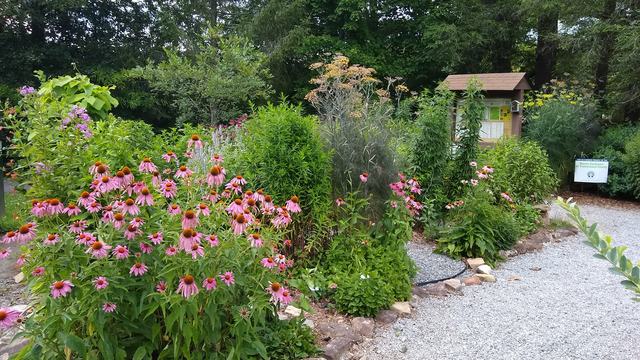 Pollinator Garden at Silvermont