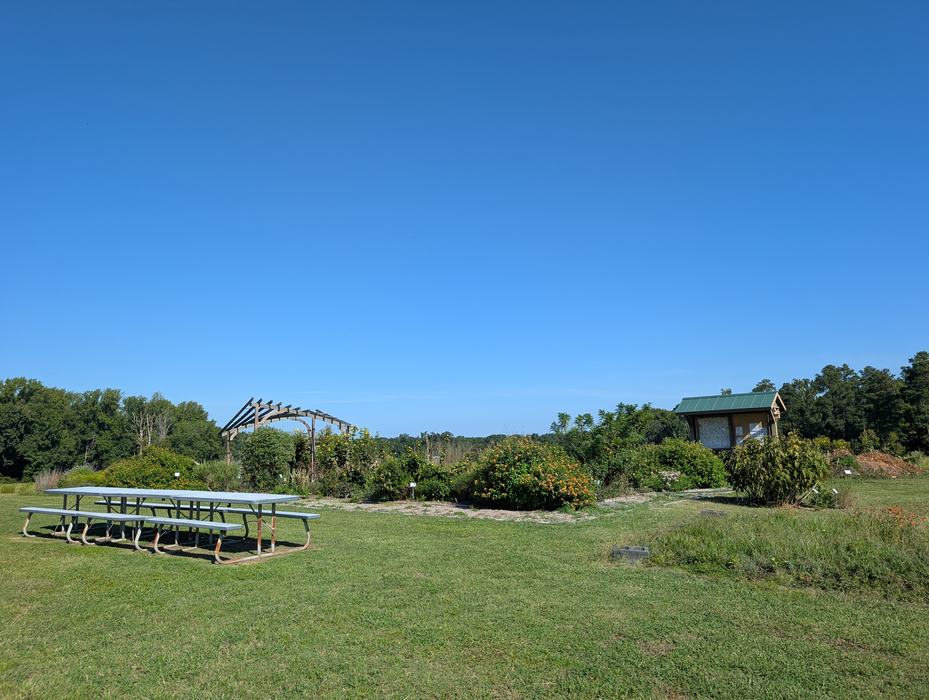 garden in lawn