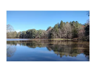 Quiet pond reflecting a dense evergreen and bare-tree forest under a clear blue sky.