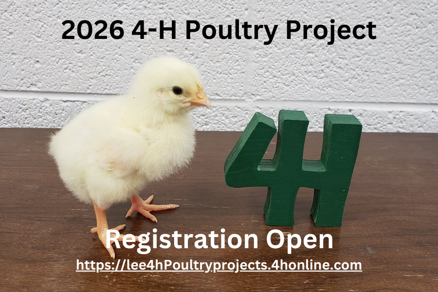 Chick and 4-H * Poultry project registration opens April 16