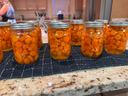 Jars of Canned Carrots
