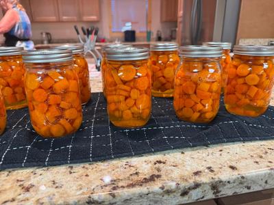 Jars of Canned Carrots
