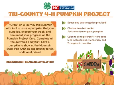 Pumpkin Project