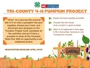 Pumpkin Project