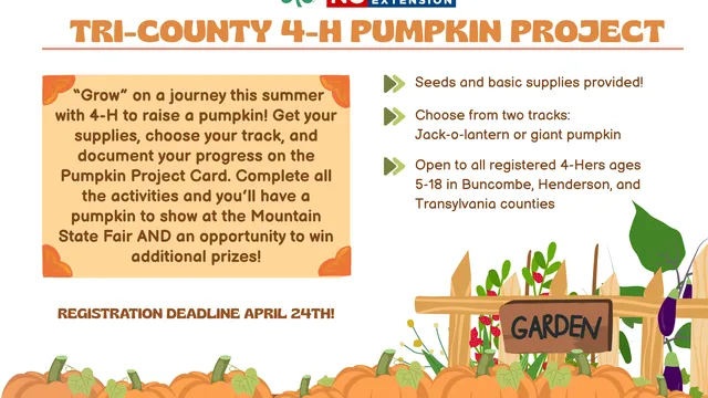 Pumpkin Project