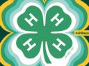 4-H emblem with multicolored layered outlines, and a yellow banner reading “#4HBeyondReady.”