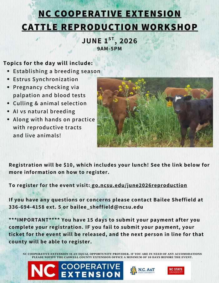 Repro Workshop Flyer