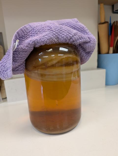 Kombucha fermenting in kitchen.