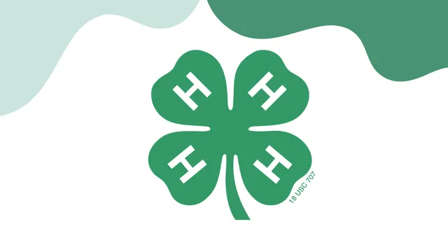 Green blobs on top of the image with 4-H Clover in the center. Davie County 4-H Summer Fun
