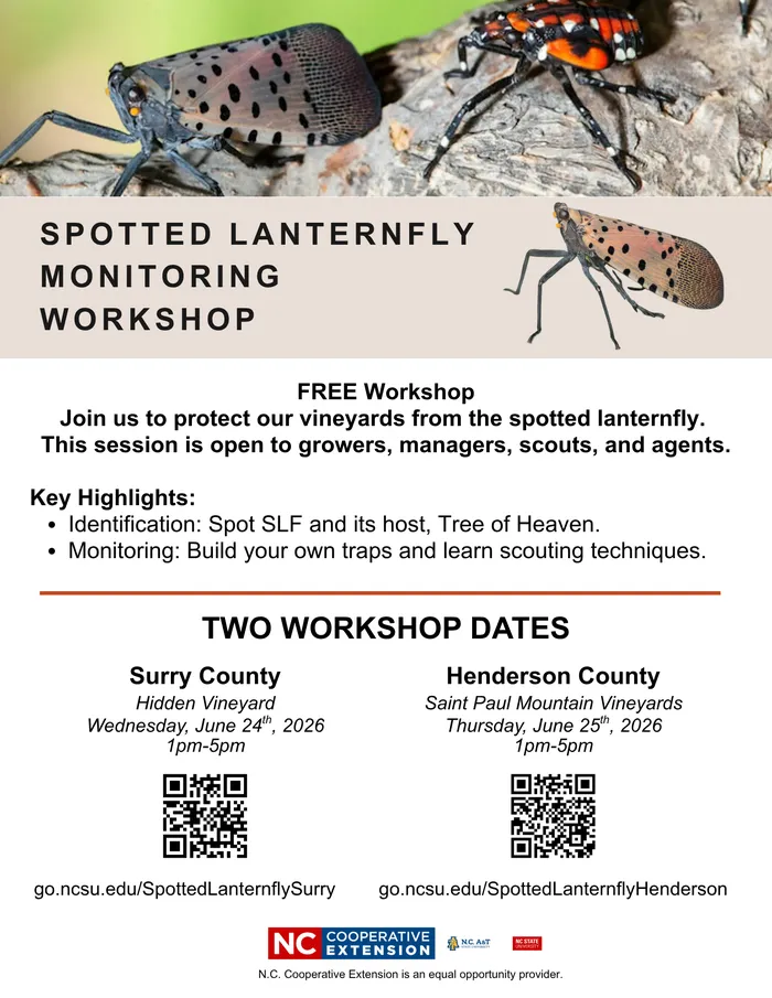 flyer of two workshop summarizing the information included in this new post. it includes a picture of SLF adults on the top