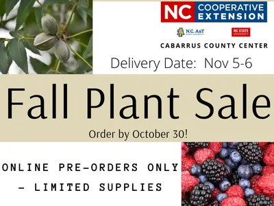 fall plant sale flyer including same information in written text