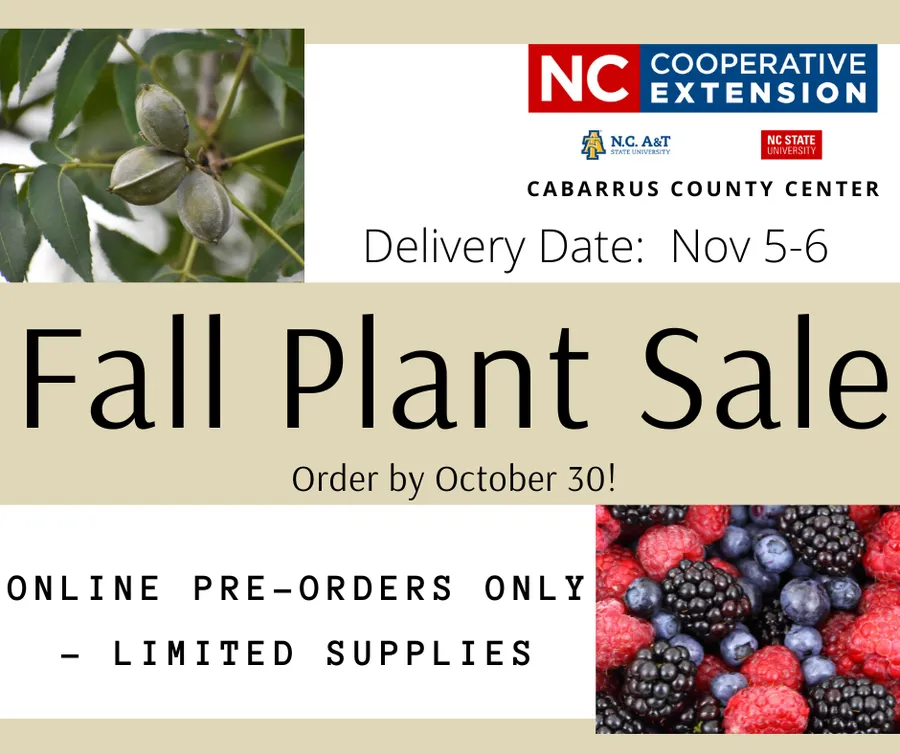 Fall plant sale flyer. Order by October 30.