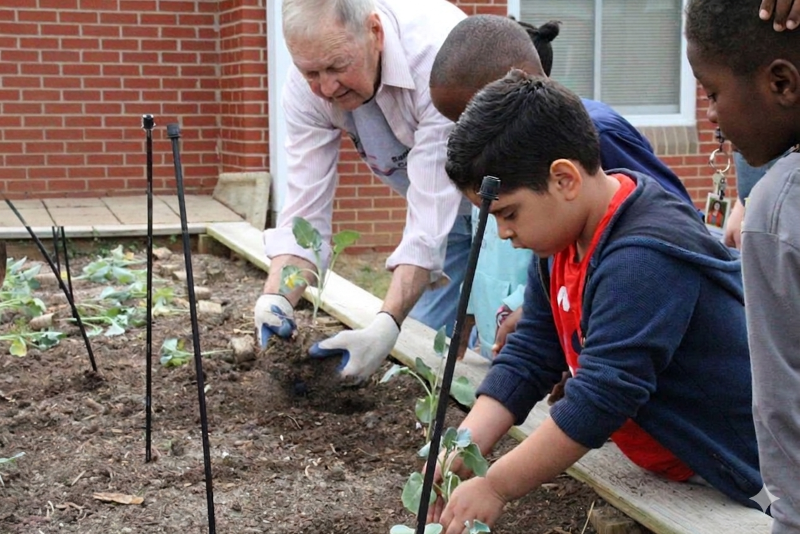 An older man helps a group of children plant broccoli in a raised bed garden. Image provided by Brad Hardison, N.C. Cooperative Extension
