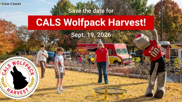 2 youth, one lady, Mr. Wuf from NCSU playing in a yard