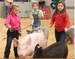 young children showing pigs