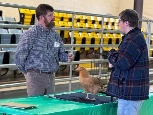 Youth talking judge showing chicken.