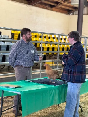Youth showing his chicken to judge.