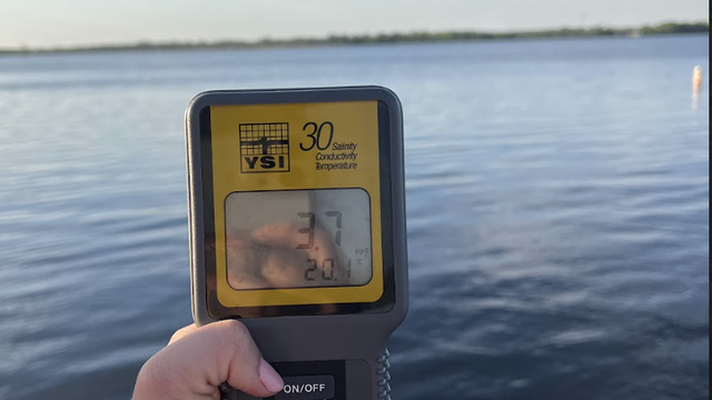 photo of a salinity meter