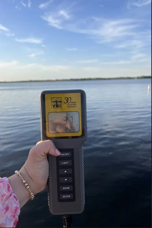 A hand holding a salinity meter.
