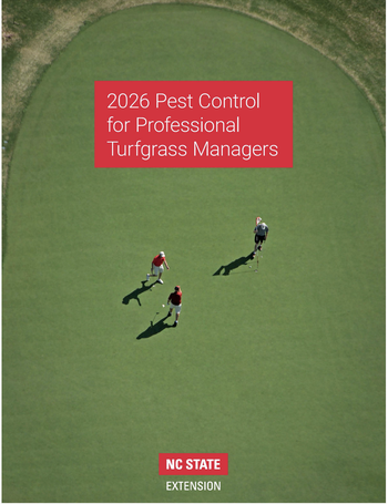 Golfers on a putting green.