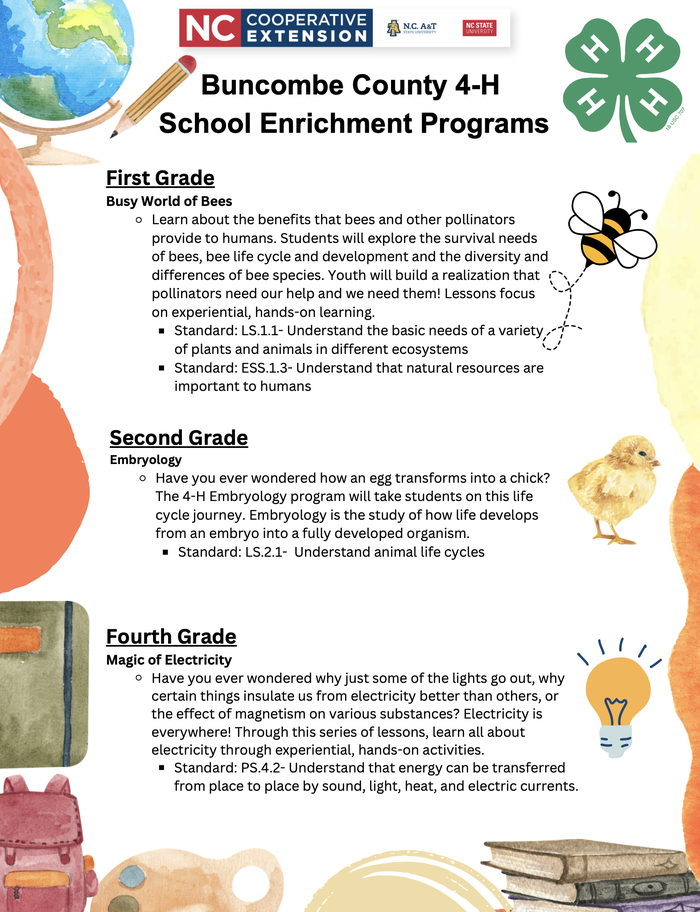 School Enrichment Flyer