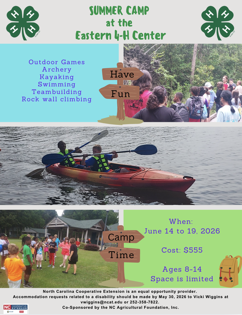 Residential Summer Camp Flyer