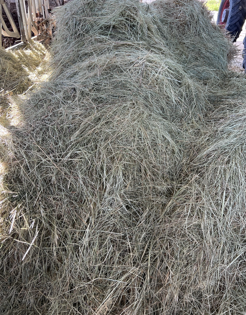 picture of hay