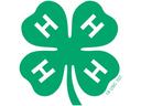 4-H