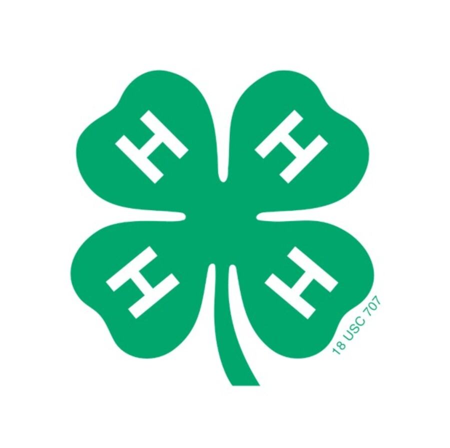 4-H'ers participating in a 4-H Summer Spark activity