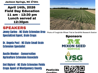 wheat feild day flyer