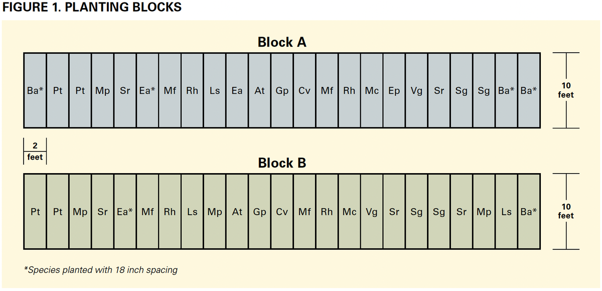 Suggested layout of plants to follow the design detailed in this project. The design uses two blocks, Block A and Block B. The species included in each block are detailed in the image. The blocks are designed to be 10 feet wide and 46 feet long.
