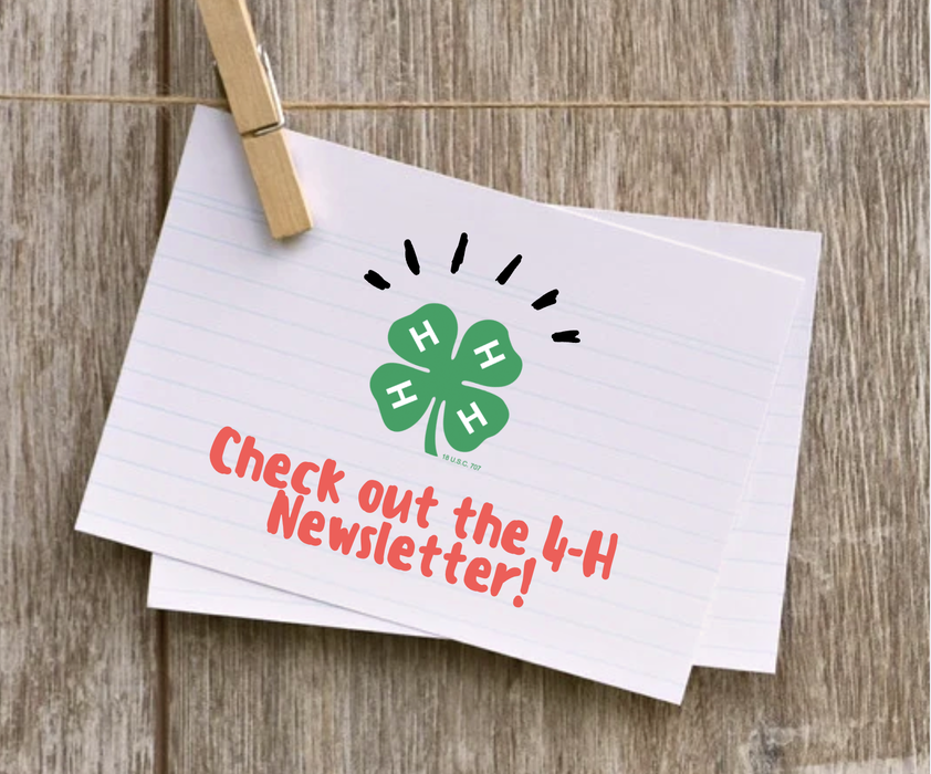 Megaphone announcing 'Read all about it...Rockingham County 4-H Newsletter"