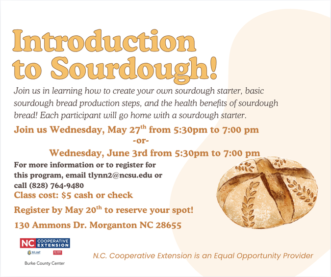 The flyer for the Introduction to Sourdough Classes offered by Taylor Lynn