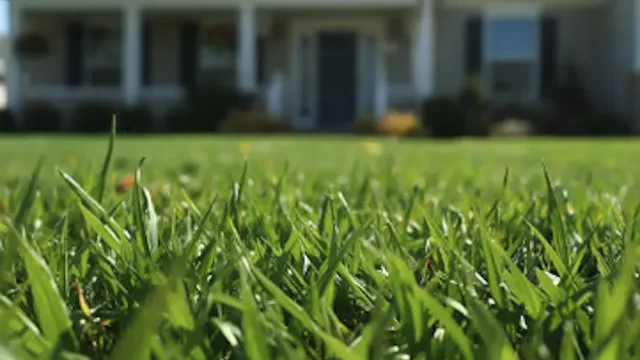 Green grass