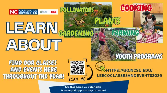 Look below for each month's newsletter to stay up to date about what is going on!