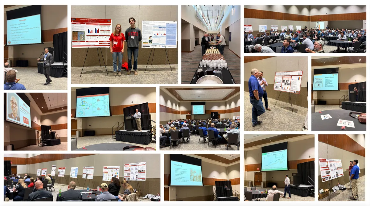 Swine Forum Photo Collage