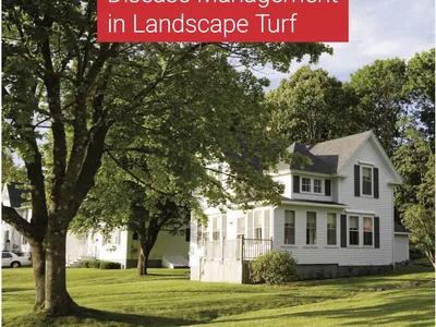Cover page of Disease Management in Landscape Turf extension publication.