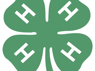 4-H Clover